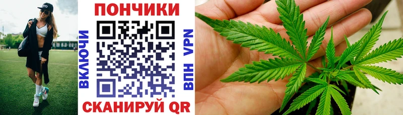 Купить закладки  Мегион  Конопля VHQ 